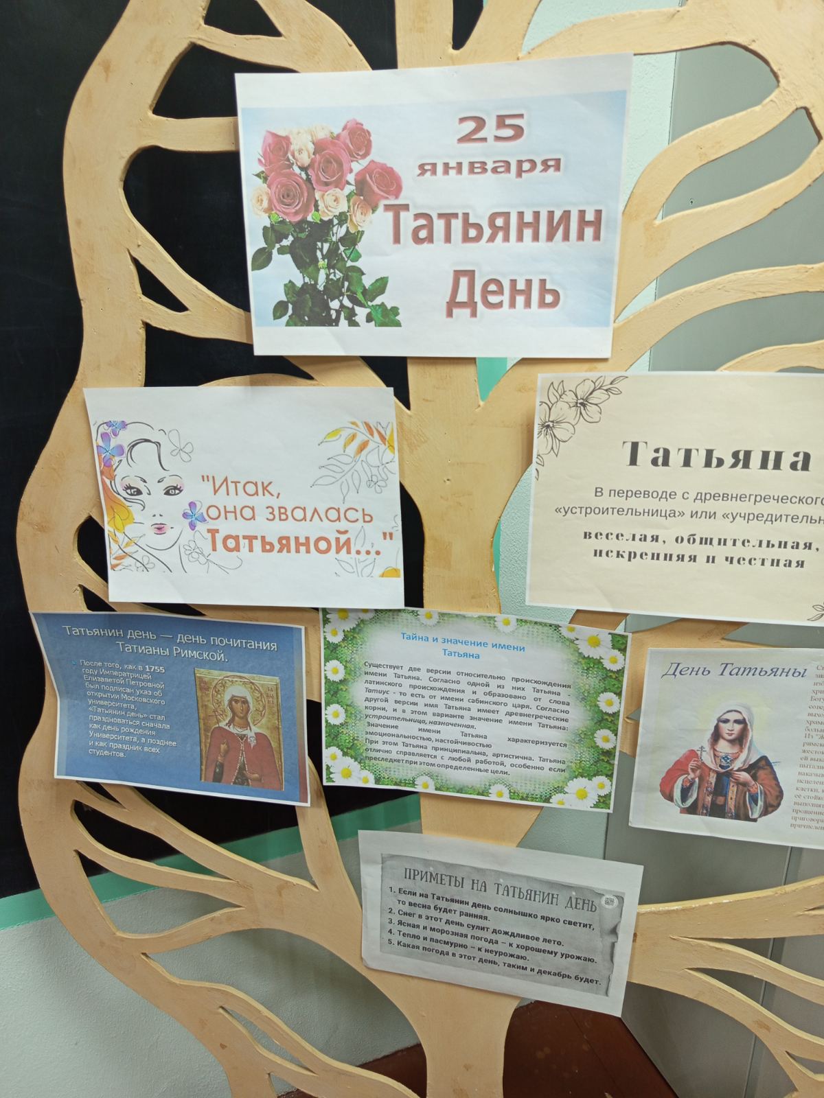 изображение viber 2026 02 03 10 09 55 948