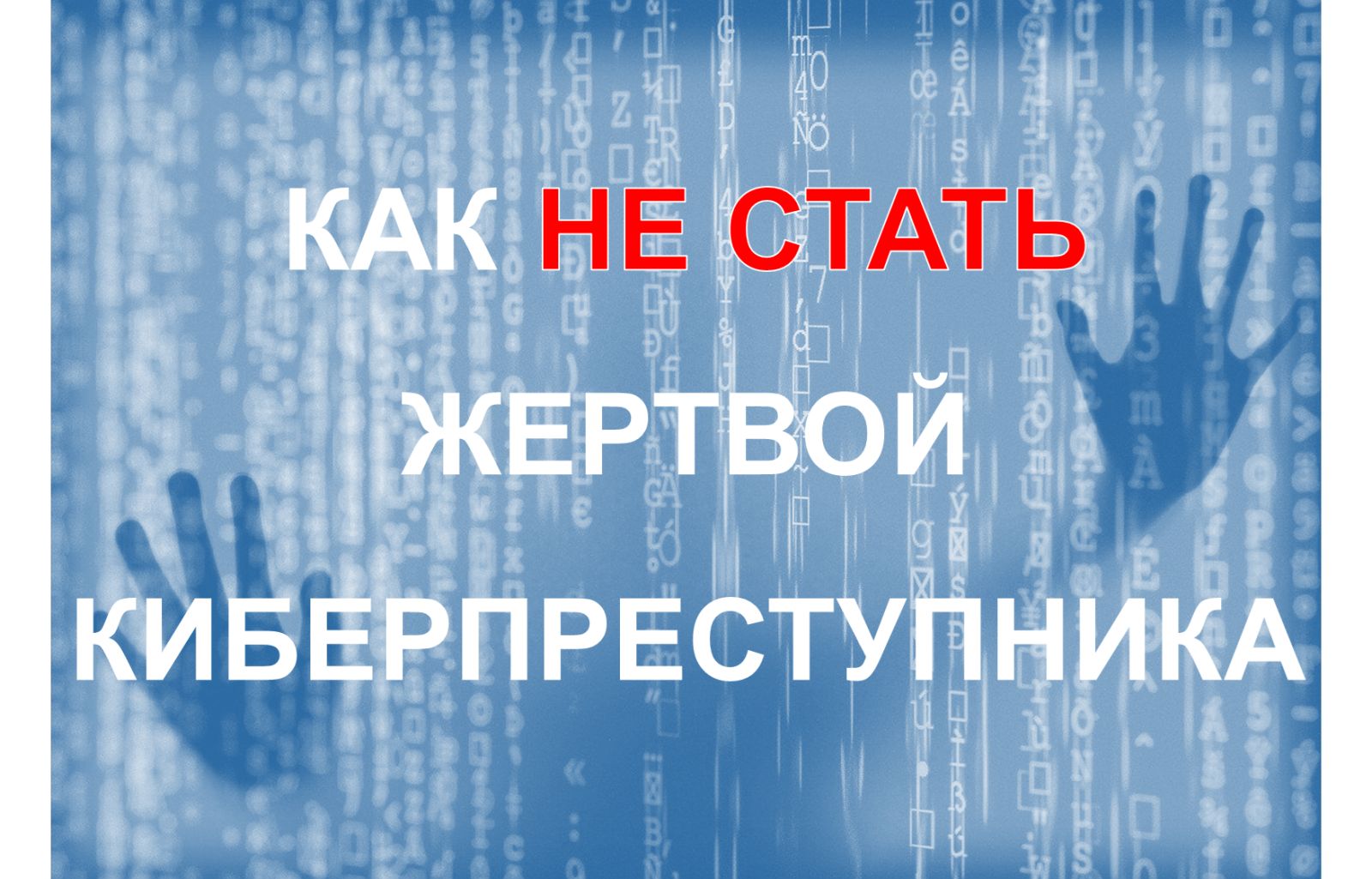 изображение viber 2026 05 27 18 01 08 246
